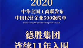連續(xù)11年，樂山唯一！集團上榜2020中國民營企業(yè)500強
